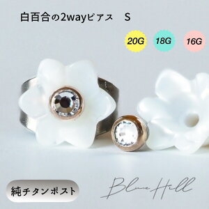 S 2way ZJhsAX { STCY `^  Ў AM[ AM[ Ή sAX  `^ O|Xg Q[W 16G 18G 20G 킢  BlueHill T[WJXe