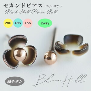 ubN VFt[ ZJhsAX { `^  Ў AM[ AM[ Ή sAX  `^ O|Xg Q[W 16G 18G 20G 킢  BlueHill T[WJ