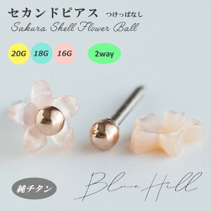  VFt[ ZJhsAX { `^  Ў AM[ AM[ Ή sAX  `^ O|Xg Q[W 16G 18G 20G 킢  BlueHill T[WJXe