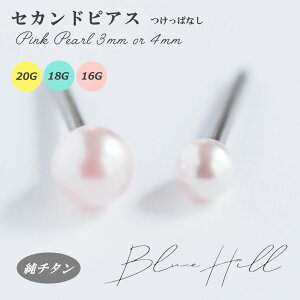 ςȂ sNp[ ZJhsAX { 3mm 4mm `^  Ў AM[ AM[ Ή sAX  `^ O|Xg Q[W 16G 18G 20G 킢  BlueHill p