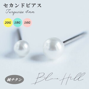 ςȂ p[ ZJhsAX { 3mm 4mm `^  Ў AM[ AM[ Ή sAX  `^ O|Xg Q[W 16G 18G 20G 킢  BlueHill p[ 