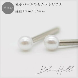 ςȂ p[ ZJhsAX { 3mm 4mm `^  Ў AM[ AM[ Ή sAX  `^ O|Xg Q[W 16G 18G 20G 킢  BlueHill p[ 