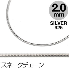 楽天市場 シルバーチェーン 50cm ネックレスチェーン レディースジュエリー アクセサリー ジュエリー アクセサリーの通販