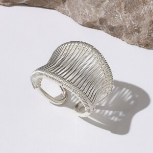 Karen Silver(JVo[) Vo[950O Vo[ O w fB[X ANZT[ Vo[O KA A[` t[TCY