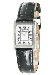 y10OFFN[|zyViztFK |[g[g fB[X SFDS00725