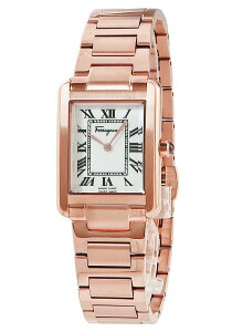 y10OFFN[|zyViztFK |[g[g fB[X SFDS01225