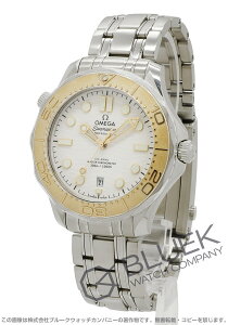 yVizIK V[}X^[ _Co[300M p IsbN 2024 300mh Y 522.21.42.20.04.001