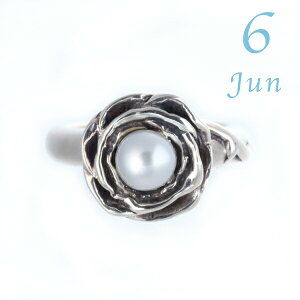 yz xr[O o ROSE [Y  lbNX 6a p[ ^ Vo[925 Mtg  IWi yRrjΉiz J }} MtgJ[h bs