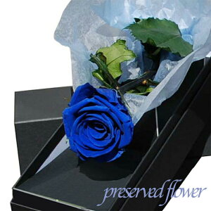 vU[uht[ K̃u[[Yio1{YājKN o  a LOi / Ԃ̃Mtg j Mtg v[g LOyRrjΉizJ  hV