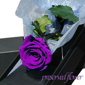 vU[uht[ K̃p[v[Yio1{Yāj/ Ԃ̃Mtg LO a v[g Mtg  KNyRCPzyRrjΉiz̓ ̓ w Ў J