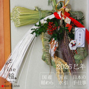 ߏ  L 2026N ߔN n E} ~ {  Y Y Y  ߓ ߓ  ̔ VN  ֏  _   [X Vv