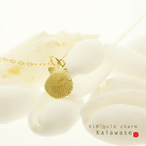 yz Lk `[ p[c ANZT[ VF K18 / K10 Mtg AM[  IWi yRrjΉiz J Əj AEj ƋLO lj LO