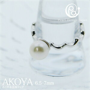 p[ O fB[X  w Y AR ^ J v[g  AEj w  I LO 蕨 VЉl  Ԃ Ԃ yzyRrj