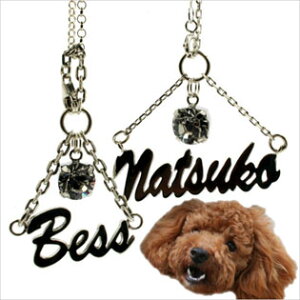 yz yAy_g ybgƈꏏɃl[y_g ( XtXL[ ) With Ring Mtg IWi  w yRrjΉizy10P05Nov16z J Əj AEj 