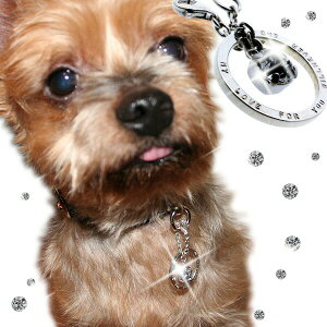 I[_[Ch  l[lbNX Vo[ CjVlbNX  v[g ybgpbZ[Wgbv(XtXL[jGWFT[N ͂ j LOyRrj