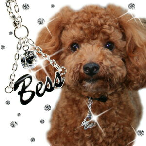 I[_[Ch  l[lbNX Vo[ CjVlbNX  ybgpl[y_g(XtXL[) withRING  w yzyRrjΉizy10P05Nov