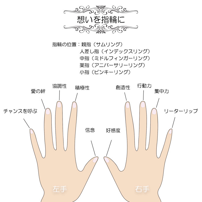 \最大25%OFFクーポン配布中/リング 指輪 1mm 極細 内甲丸 平打ち 18Kコーティング ステンレスリング ステンレス指輪 金属アレルギー対応 ピンキーリング ファランジリング マリッジリング ペアリング ジュエリー 男女兼用 アクセサリー ニッケルフリー - メイン画像 22
