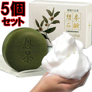 zΌ100g×5ZbgyΌ Ō`Ό Ό  L΍ Aălbg ΒΌ Mtg v[gz