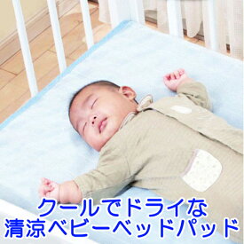 楽天市場 赤ちゃん 冷却 グッズの通販