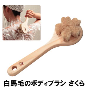 󑐃A[guV nт̃{fBuV  C {fB[uV VR Ђ̂ qmL w Mtg v[g