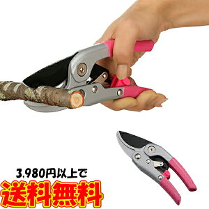 4i`Fbg X[YnT~ ؂4i`FbgŎ}yXؒf } }؂΂ K[fjO