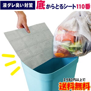 t_L΍ ꂩƂV[g110 L C L C