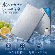 保冷剤 ステンレス 2個セット 最強 長時間 304 ステンレス保冷剤 お弁当 長持ち 小さい 薄型 クーラーボ…