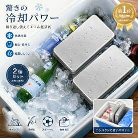 【楽天1位】保冷剤 ステンレス 2個セット 最強 長時間 304 ステンレス保冷剤 お弁当 長持ち 小さい 薄型 クーラーボックス 保冷剤 溶けない保冷剤 アイス ステンレス氷 2個 コンパクト 冷蔵冷凍 小型 アウトドア 熱中症対策 ステンレス BP-1