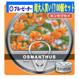 yJ[pi/100ZbgzhЁ@GA[XyT[iJ[gbWjLNZC(A111)100@y500z