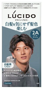 ywAPApiz}_LUCIDO-L(V[hG)fUCwAJ[N[AbV 2A Yp ߁y590z