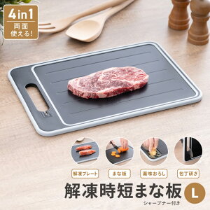 yzcR[||V𓀃v[gt@\܂ȔL TCY:36.7×s25×1cm KPSMLy590z