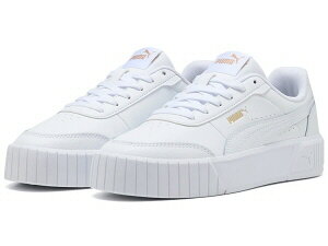 y݁iꕔn揜jzyfB[XJWAV[YzPUMAiv[}jL[i ~A[JbgXj[J[@402637-06y470/P-090z