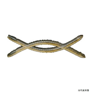 �y�ނ�zIMAKATSU ellcrawler �C�[���N���[���[ 9inch�y510�z