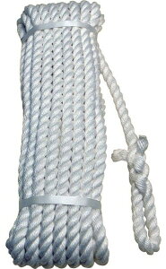 yבpiz܂HƃgbNp [v()TCY 12mm×20m 119082y528z