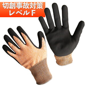 Ǝ܁@FUJITE xm 53-12F ϐؑn iFxj y410z