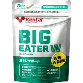 【プロテイン・サプリメント】KENTAI(健康体力研究所)ビッグイーター W K4424【550】