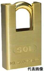 yhƗpizSOL HARD(\[En[h)싞 t[htZ[teBbN No.4500 50mmy772z