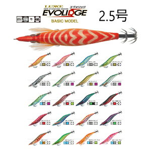 �y�ނ�zGAMAKATSU LUXXE EVOLIDGE BASIC 2.5�� EG-001�y510�z