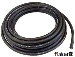 y(ꕔn揜)zynڍHzd(TJCfME)Lv^C nڗpP[u F 15m WCT-22XPy454z