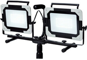 y(ꕔn揜)zyƓEpizTAKAGI(V)EARTHMAN LED[NCgX^h_u 60W×2 WLT-060LWAy580z