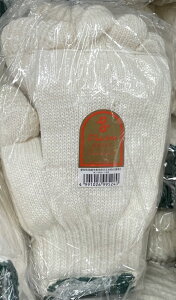 y݌ɌzyƎ܁zV[X܎wv  a R 1_[X 12o(24g)K-03-133y410z