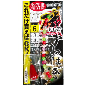 yނzGAMAKATSU JnMp[tFNgd| KH-001y510z
