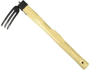 y_ƁE|piznЎ L(O{L)ۂ̏iɂ͕̏ɃS܂y521z