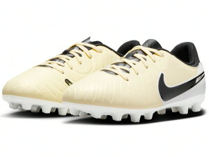 y(ꕔn揜)zyTbJ[WjAXpCNzNIKE(iCL)eBG| WFh 10 AJf~[ HGDV4349-700y750z