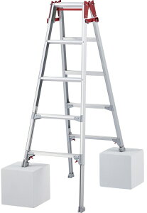 y(ꕔn揜)zy~ƗpizJH(Hasegawa)͂pLkr 5i(5)RYZ-15cy459z