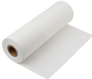 y[EpizPDC(s[EfB[EV[)FAXM[ A4 TCY:210mm×25.4mm×100m 101SFy620z