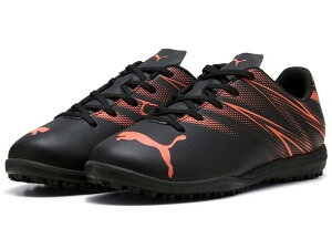 y(ꕔn揜)zyTbJ[WjAg[jOV[YzPUMA(v[}) A^bJg TT Jr107481-12y750z