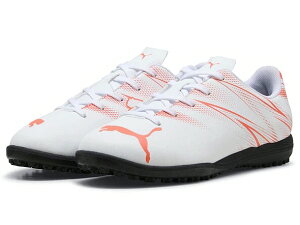 y(ꕔn揜)zyTbJ[WjAg[jOV[YzPUMA(v[}) A^bJg TT Jr107481-13y750z