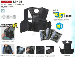 yƕ(pObY)zCO-COS(R[RXM)GLADIATOR(OfBGC^[)ACXxXgACXpbN 3Zbg GI-409y530z