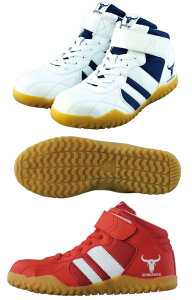 y(ꕔn揜)zySCEƌCzSUNDANCE(T_X)GT-EvoX ~hJbgZ[teBy420z